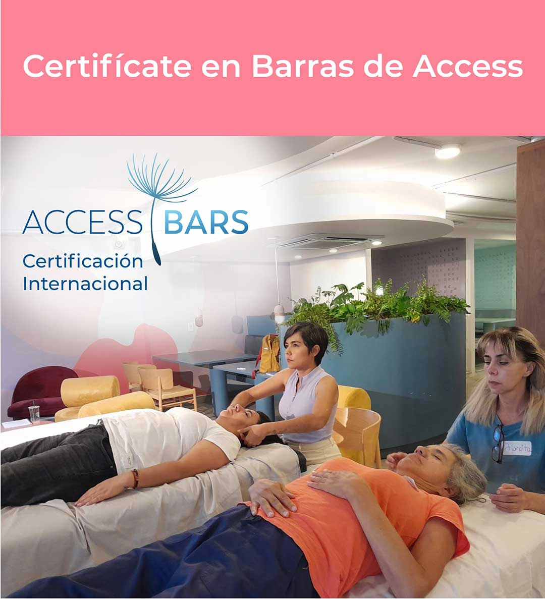 Certificación Internacional Barras de Access