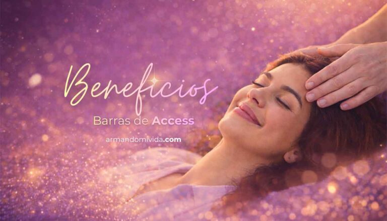 Beneficios de barras de access